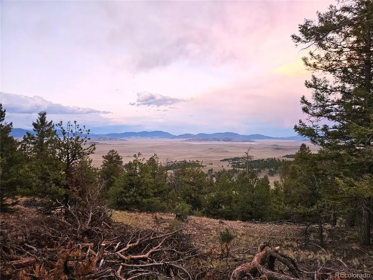 PCS#24807 Satanta Trail, Hartsel, CO 80449 - #1