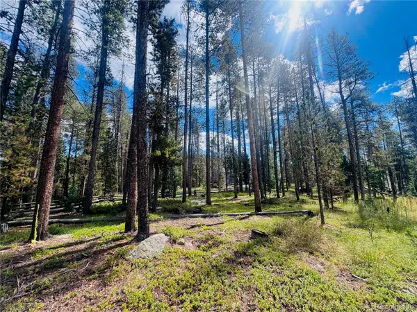 Lot 2m Vickery Ave, Conifer, CO 80433