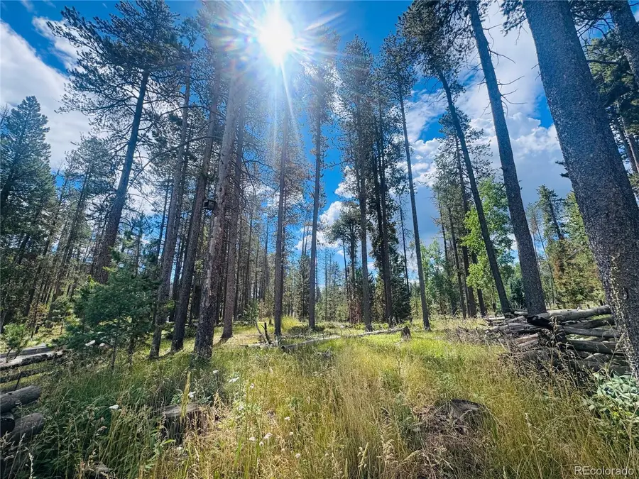 Lot 2m Vickery Ave, Conifer, CO 80433 - #3