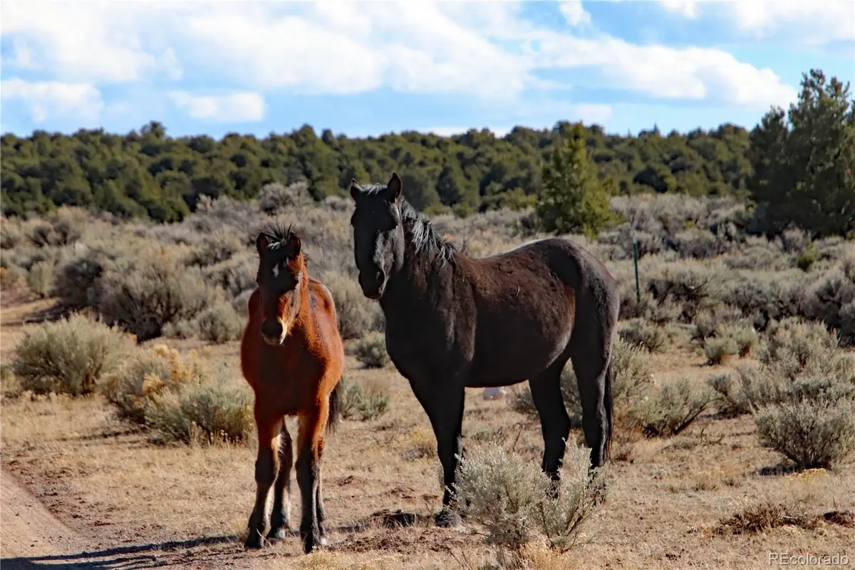 Parcel 17 Alta Mesa Drive, San Luis, CO 81152 - #1