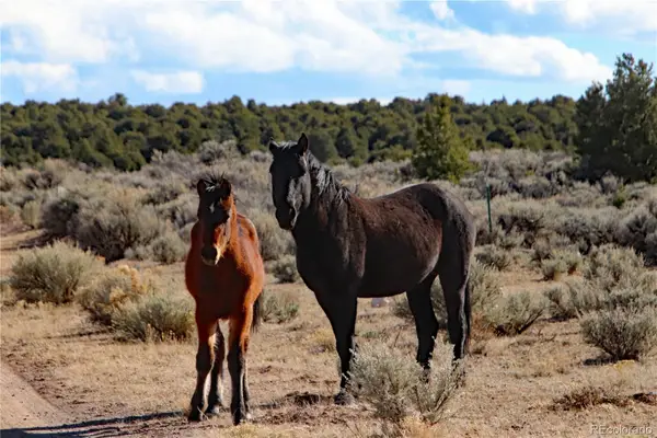 Parcel 17 Alta Mesa Drive, San Luis, CO 81152