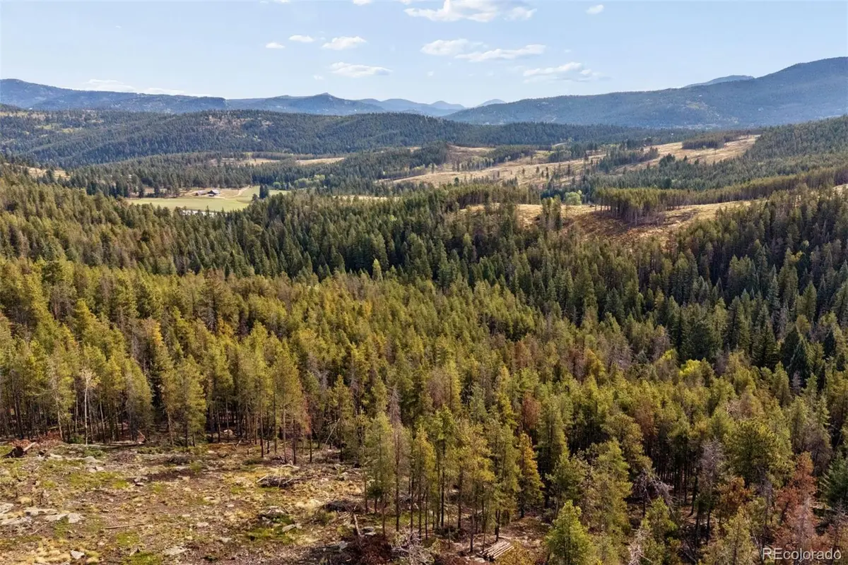 8570 S Warhawk, Conifer, CO 80433 - #1