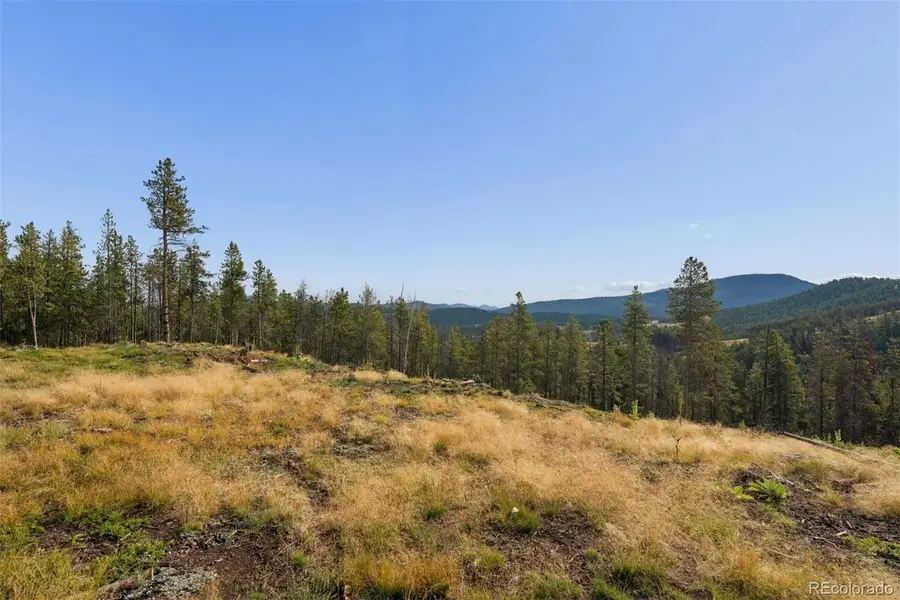 8570 S Warhawk, Conifer, CO 80433 - #2
