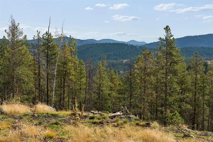 8570 S Warhawk, Conifer, CO 80433 - #3