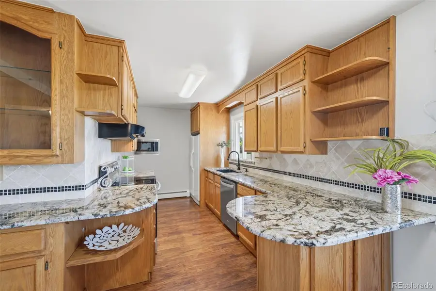 42593 London Drive, Parker, CO 80138 - #2
