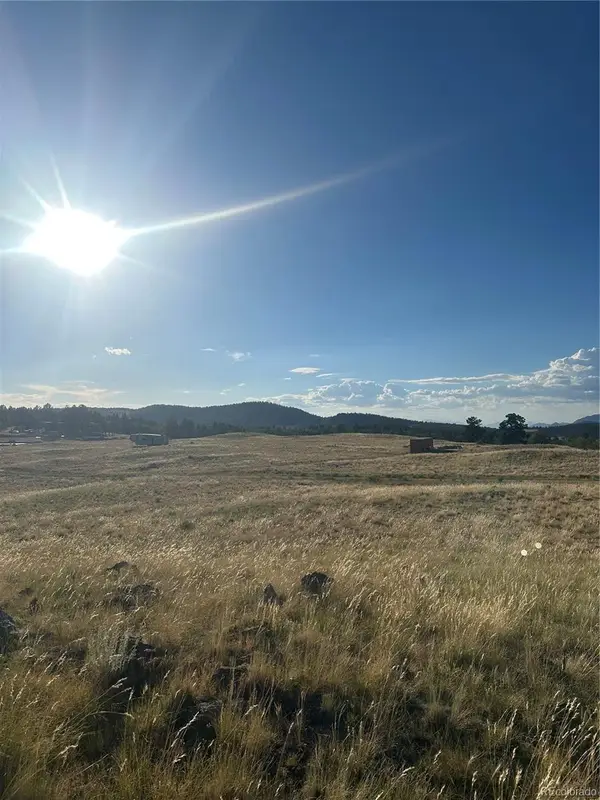 290 Castle Mountain Drive, Florissant, CO 80816