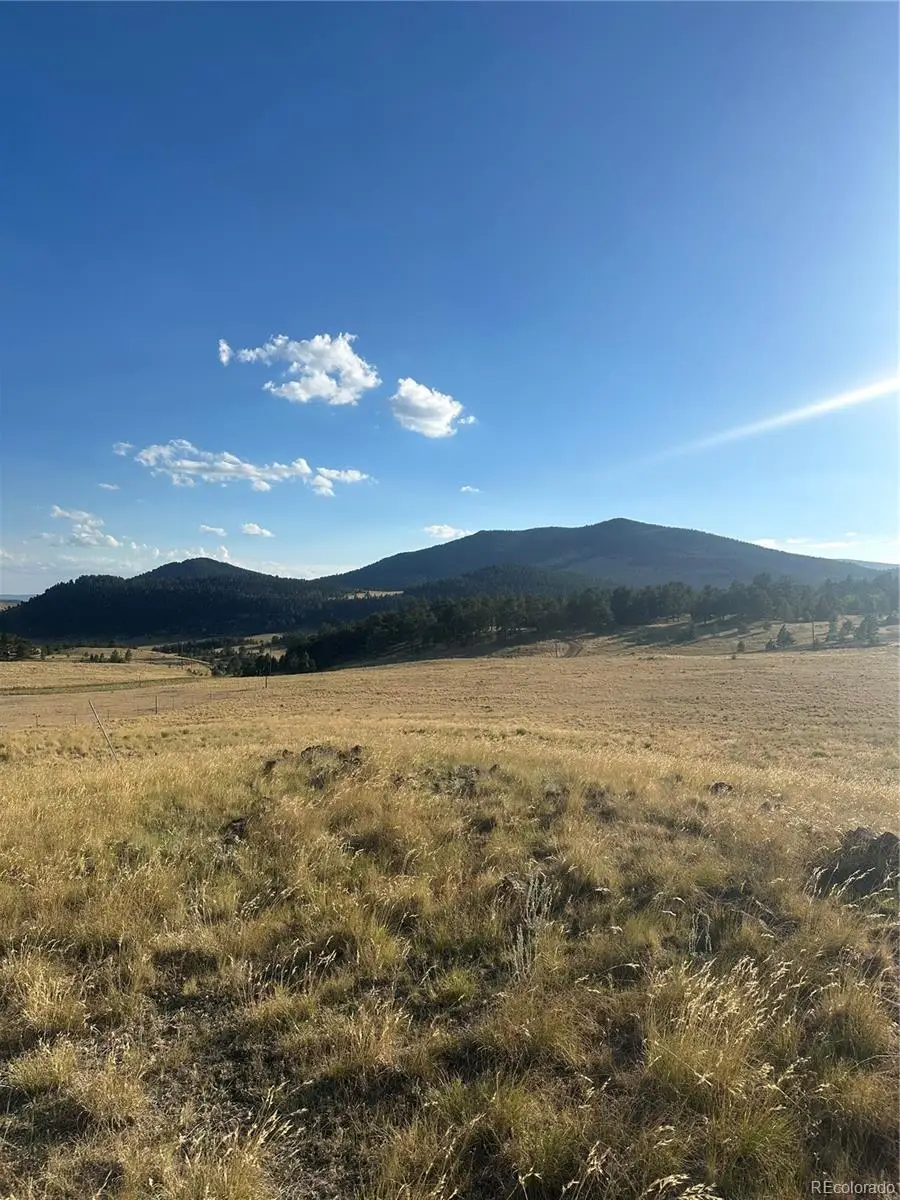 290 Castle Mountain Drive, Florissant, CO 80816 - #2