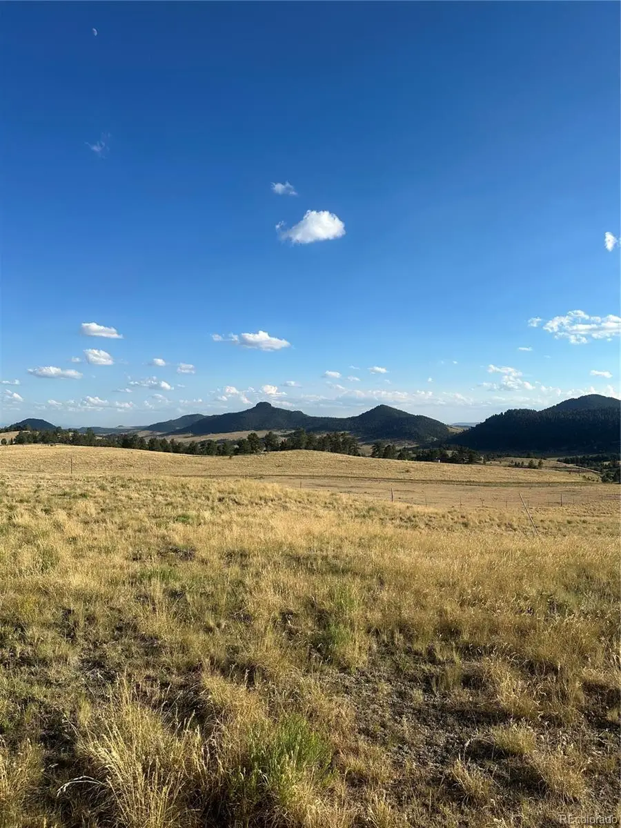 290 Castle Mountain Drive, Florissant, CO 80816 - #3