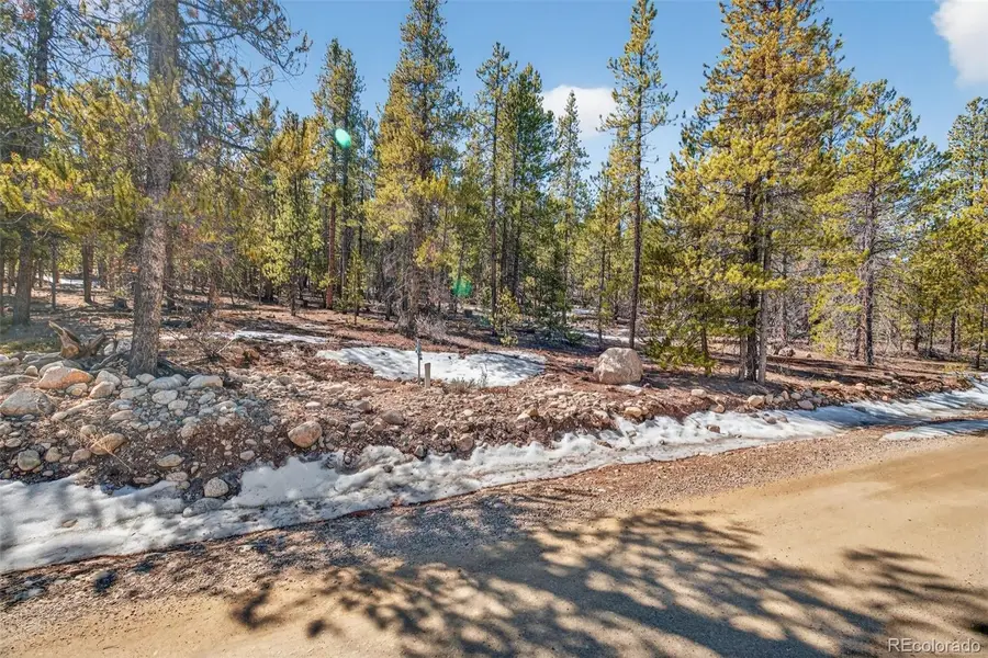 312 Mt Massive Road, Twin Lakes, CO 81251 - #3