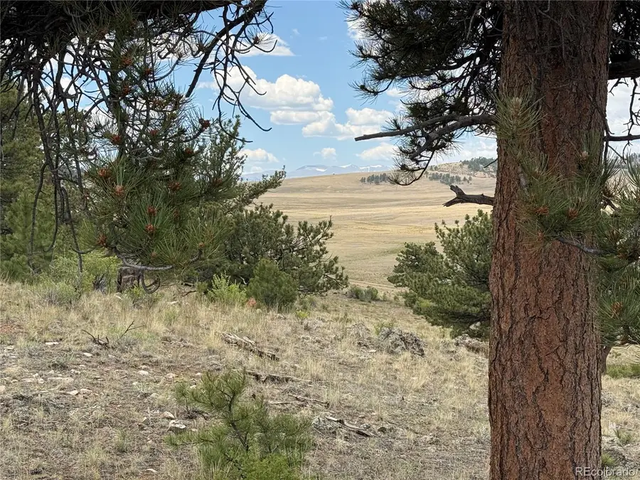 Hohokan Trail, Hartsel, CO 80449 - Image #3