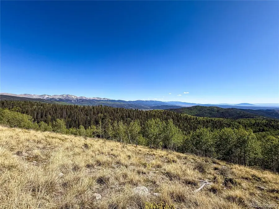 LOT 6829 Ryland Road, Fort Garland, CO 81133 - #3
