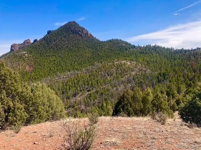 Tbd Cathedral Trail, Conifer, CO 80433 - #3