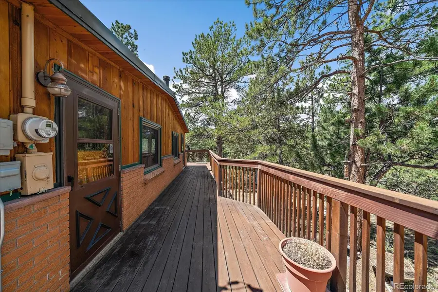 168 Juniper Lane, Bailey, CO 80421 - #2