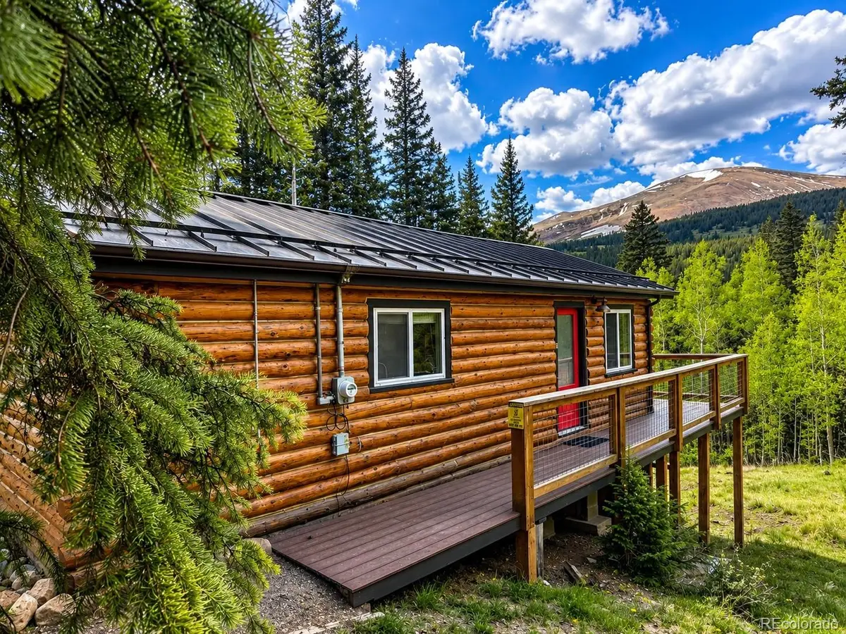467 Nuthatch Drive, Alma, CO 80420 - #1