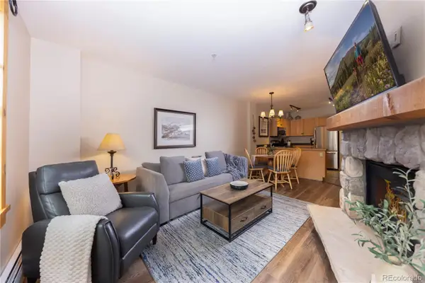 100 Dercum Square #8372, Dillon, CO 80435