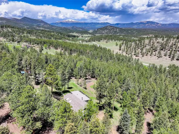539 S Random Road, Bailey, CO 80421