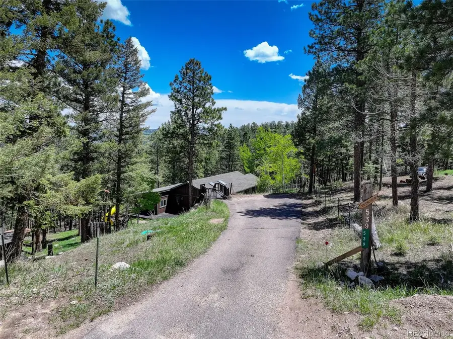 539 S Random Road, Bailey, CO 80421 - #3