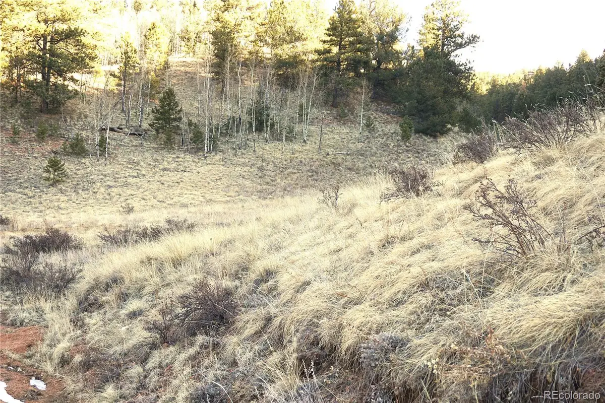 637 Valley Road, Divide, CO 80814 - Image #1