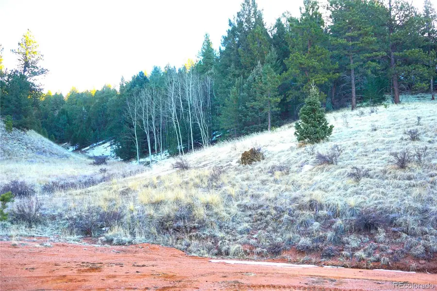 637 Valley Road, Divide, CO 80814 - Image #3