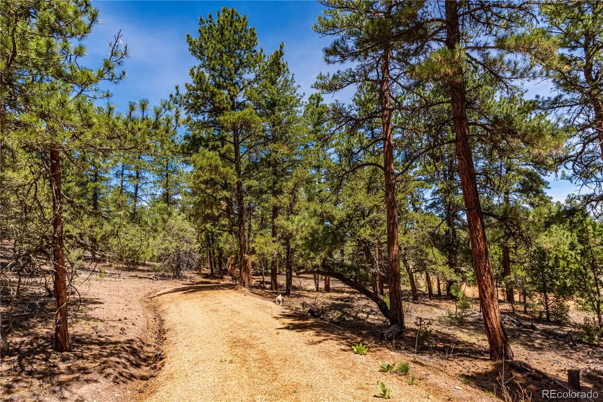 2417 Indian Wells Road, Cotopaxi, CO 81223 - #1