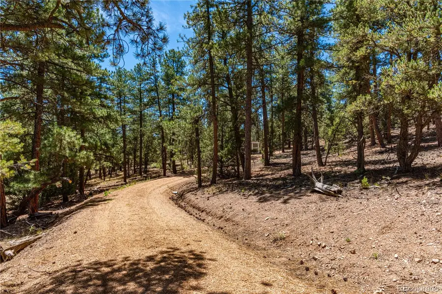 2417 Indian Wells Road, Cotopaxi, CO 81223 - #3