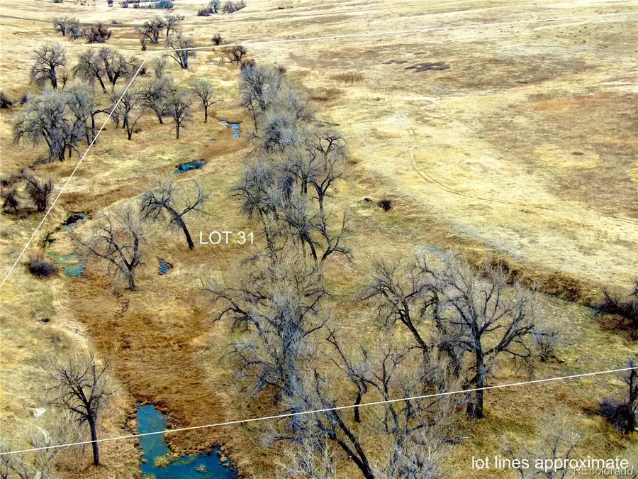 0 Happiness Trail Lot 31, Kiowa, CO 80117 - #3