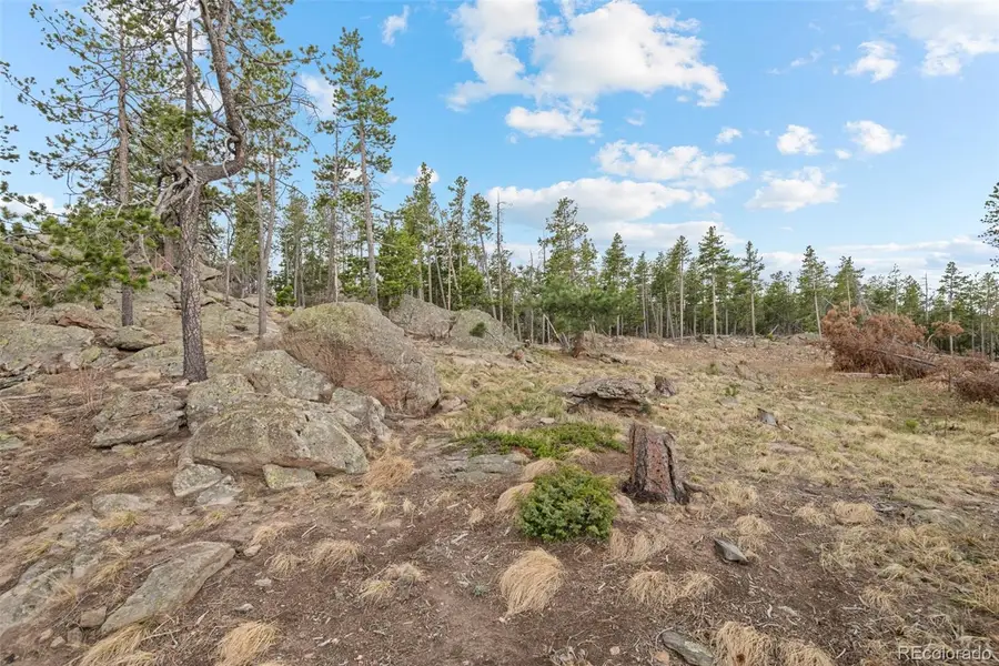 10157 Horizon View Drive, Morrison, CO 80465 - #2