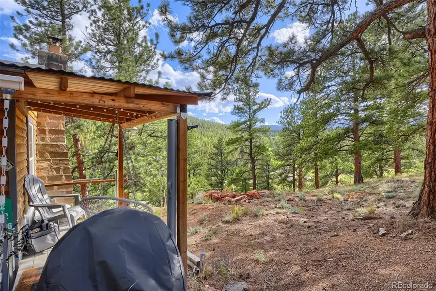 226 Hall Road, Bailey, CO 80421 - #2