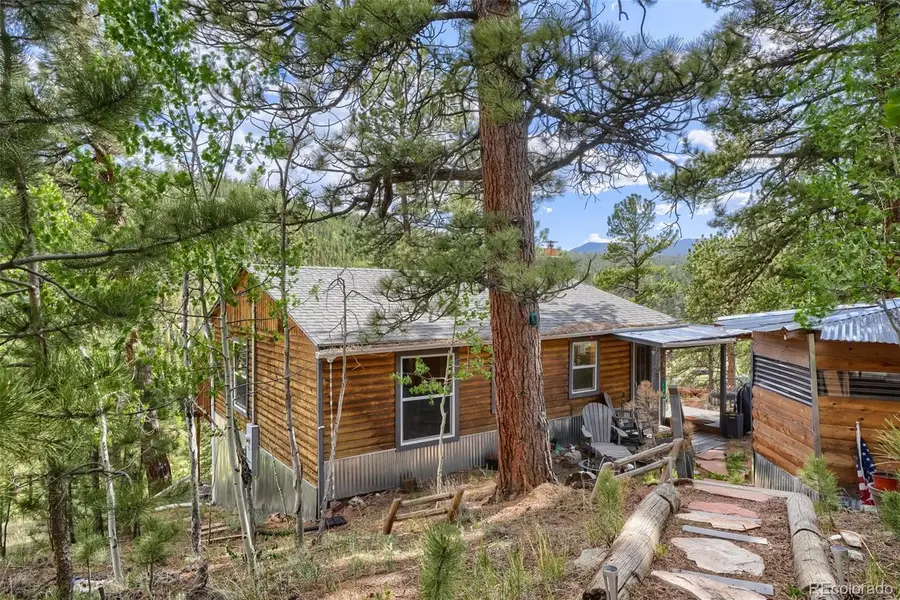 226 Hall Road, Bailey, CO 80421 - #3