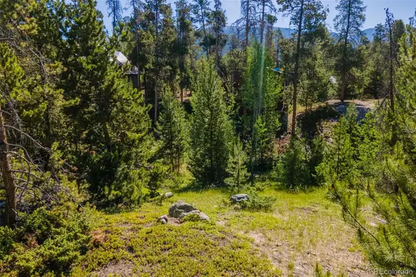 844 Shadow Mountain Drive, Grand Lake, CO 80447