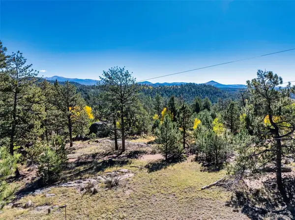 71 Pine Circle, Guffey, CO 80820