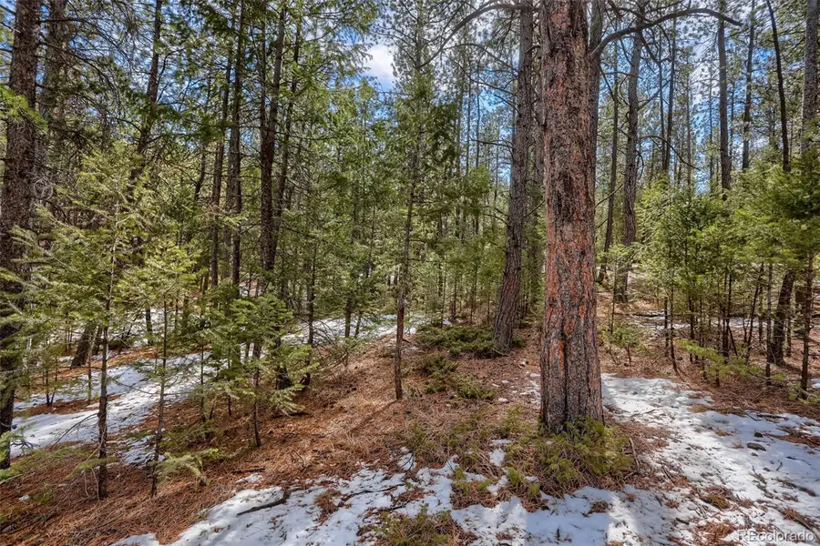 249 Territory Drive, Pine, CO 80470 - #3