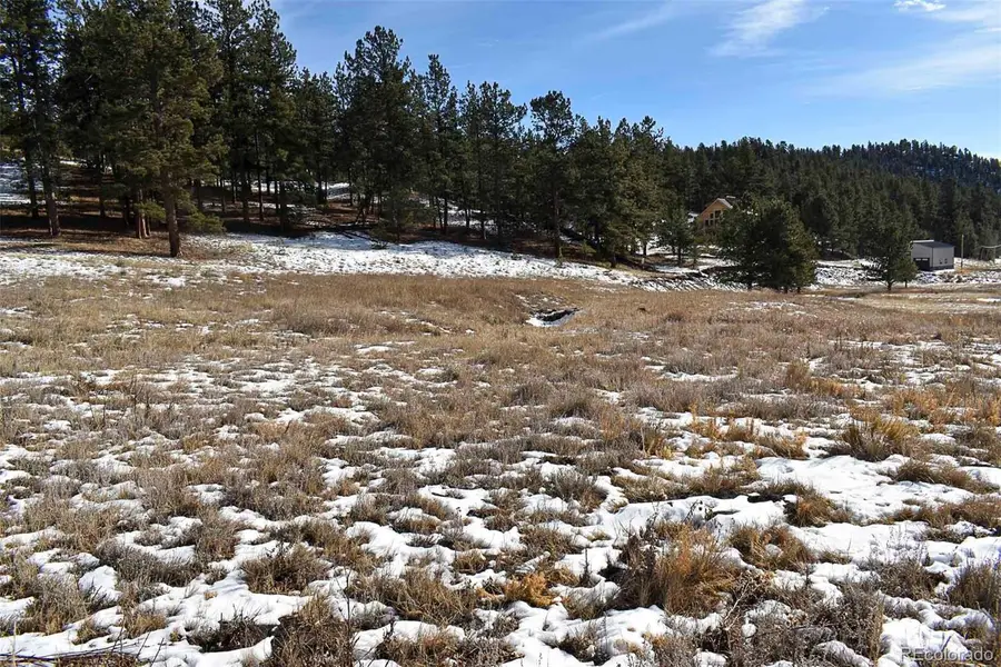 000 6th Street, Guffey, CO 80820 - Image #3