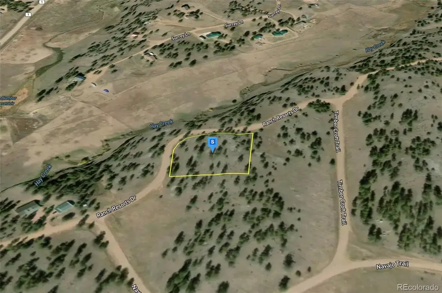 508 Ranch Resorts Drive, Florissant, CO 80816 - Image #2