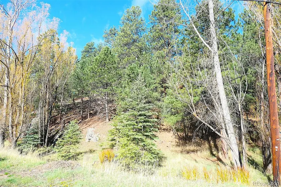 5201 Highway 73, Evergreen, CO 80439 - #2