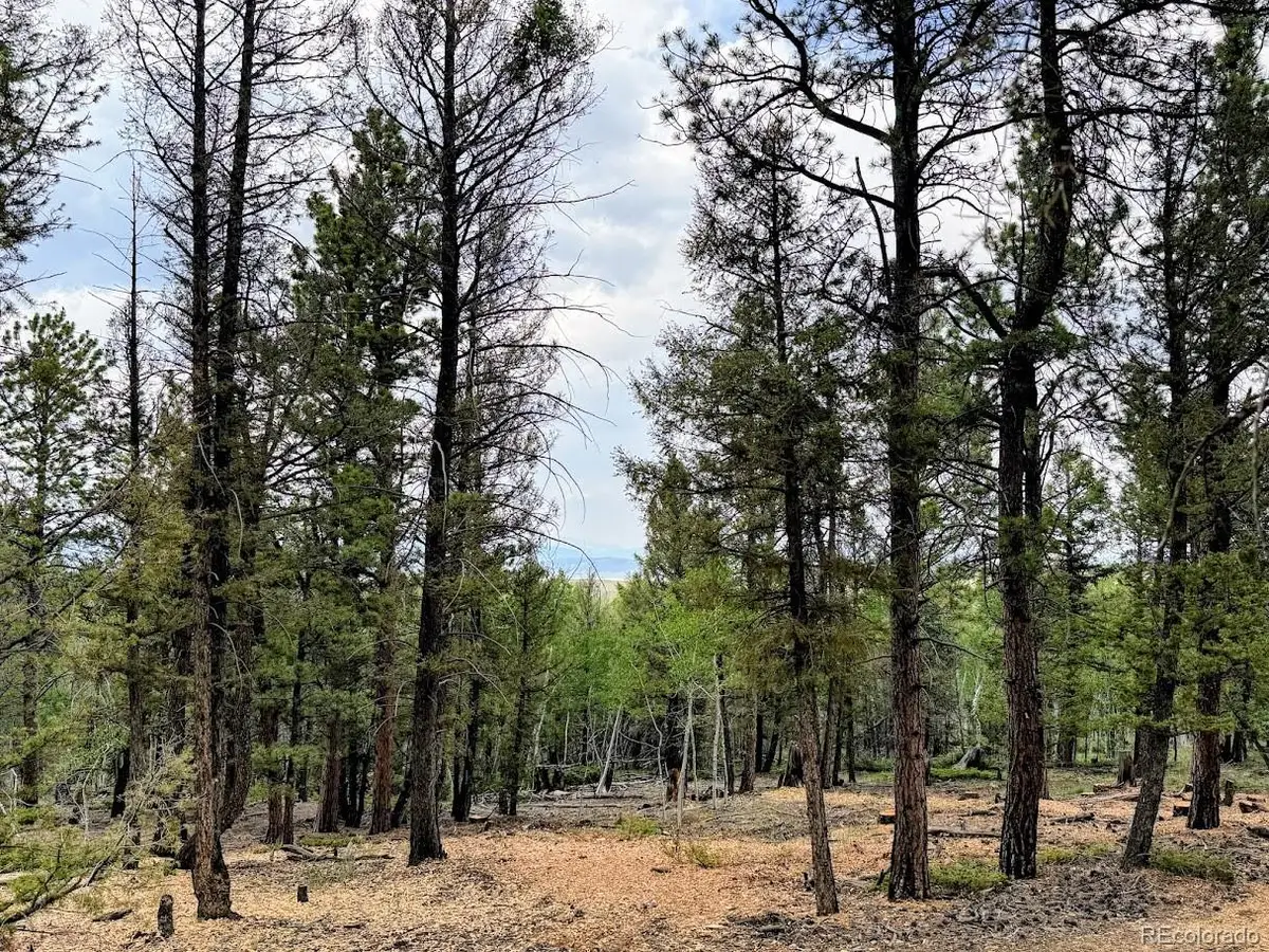 1789 Bellows Road, Hartsel, CO 80449 - #1