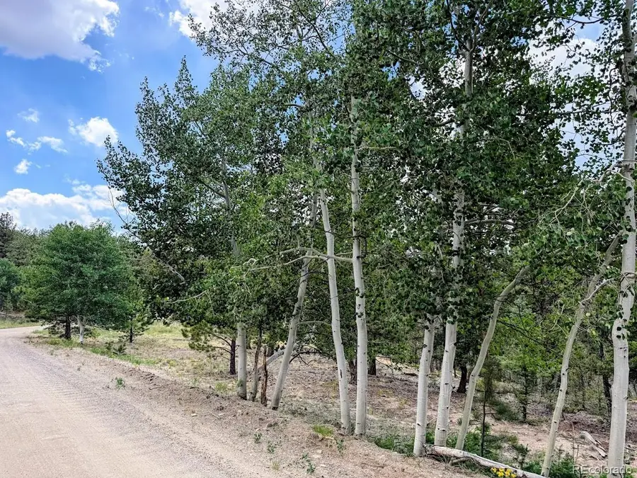 1789 Bellows Road, Hartsel, CO 80449 - #3