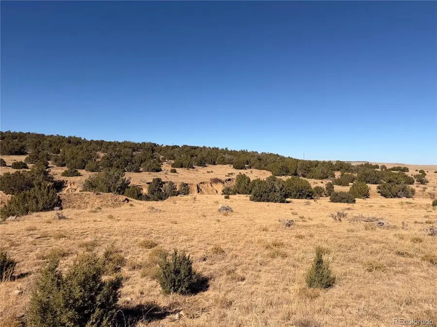 Lot 537 Rio Cucharas, Walsenburg, CO 81089 - Image #2