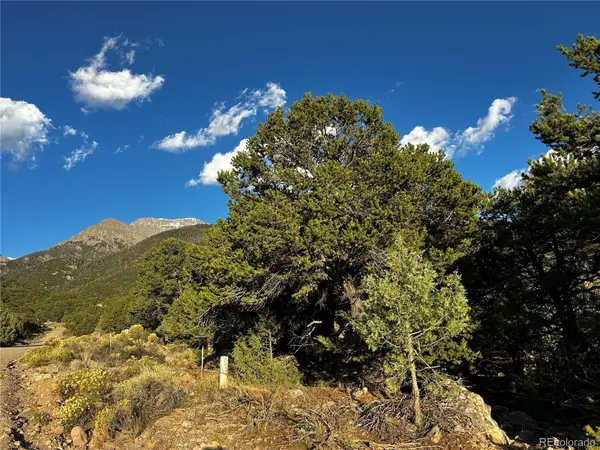 1786 Summitview, Crestone, CO 81131
