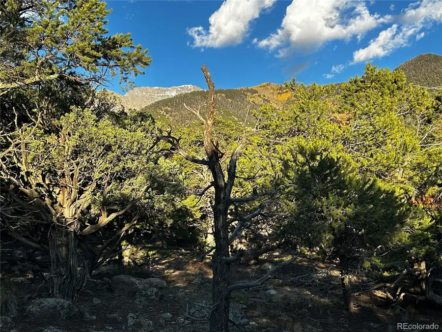 1786 Summitview, Crestone, CO 81131 - #3