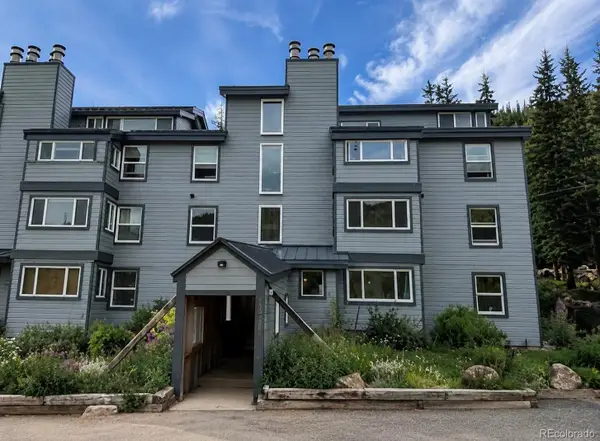 9366 Fall River Road #106, Idaho Springs, CO 80452