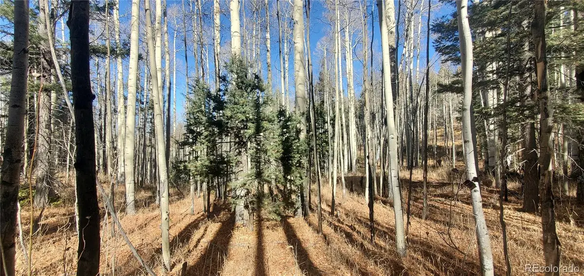 Lot 6060 Forbes Road, San Luis, CO 81152 - Image #1