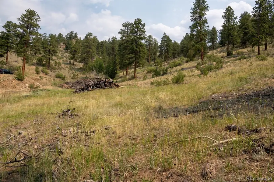 13990 Pine Valley Road, Pine, CO 80470 - #3