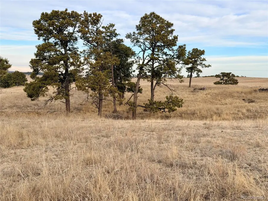 06 County Road 122, Ramah, CO 80832 - #3