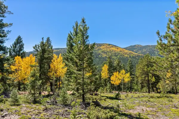 30854 Forest Shadow Trail, Conifer, CO 80433