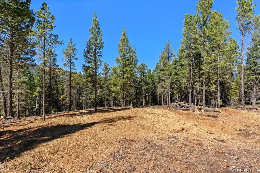 30854 Forest Shadow Trail, Conifer, CO 80433 - Image #3