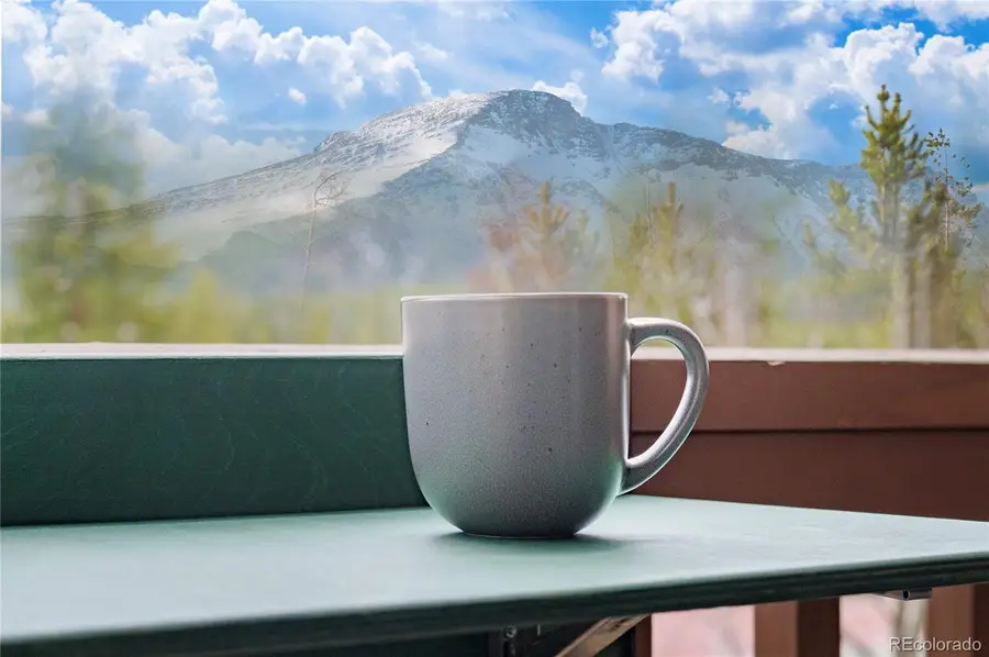 145 Forest Trail #5, Winter Park, CO 80482 - #2