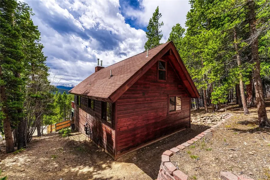 153 Nebraska Drive, Idaho Springs, CO 80452 - #3