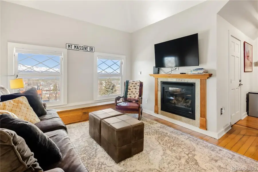 401 Old Saint Vincents #401, Leadville, CO 80461 - #3