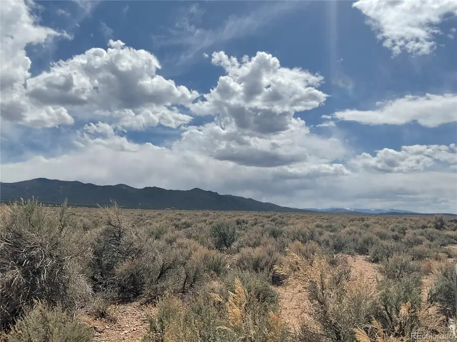Lot 105 Schlitz Rd., Fort Garland, CO 81133 - #3